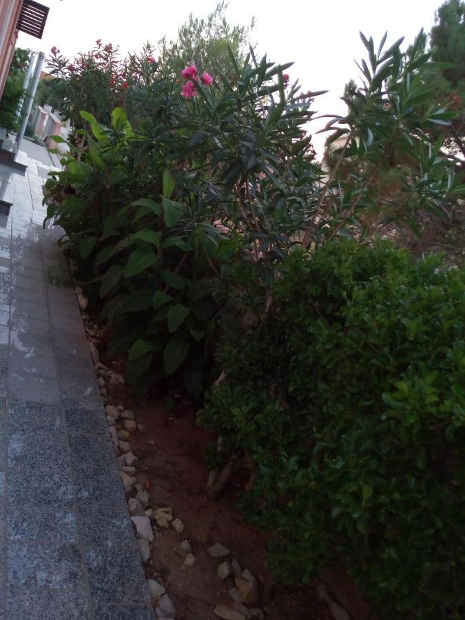 شقة Maslina فير المظهر الخارجي الصورة